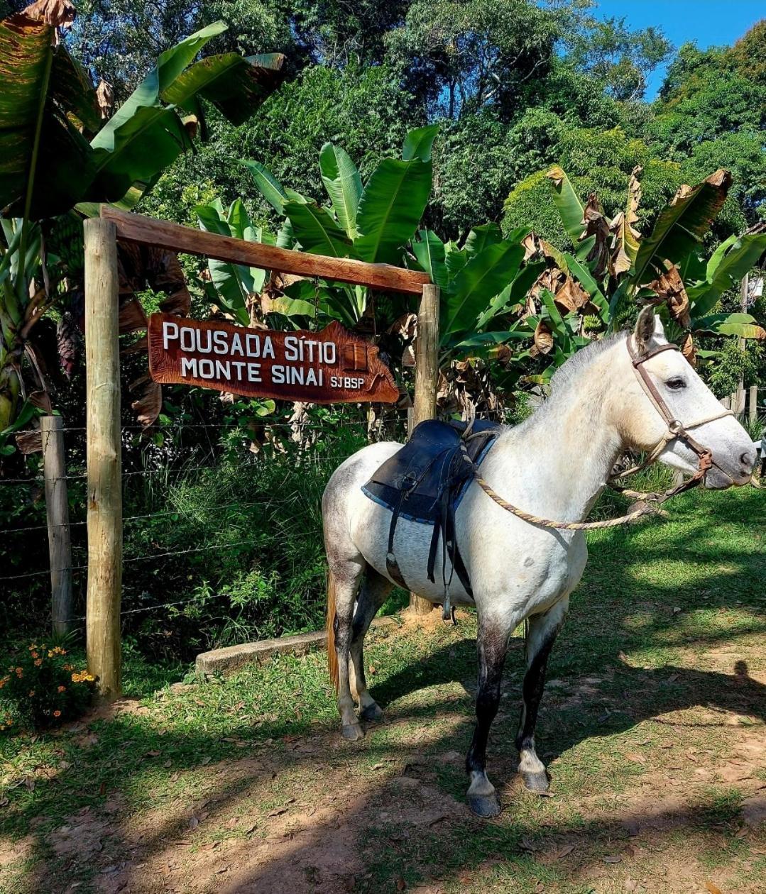 Pousada Sitio Monte Sinai São José do Barreiro Buitenkant foto