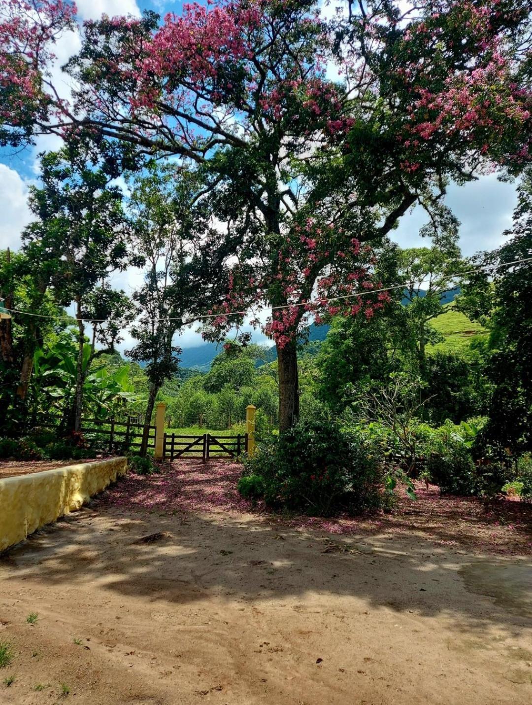 Pousada Sitio Monte Sinai São José do Barreiro Buitenkant foto